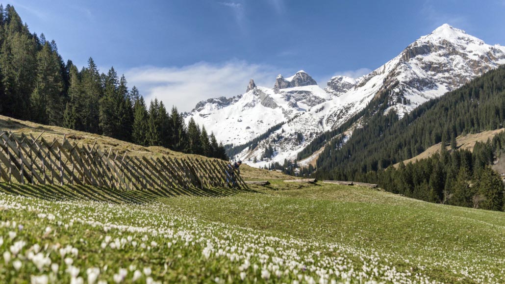 Gauertal im Frühling